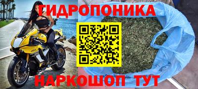 стафф Заводоуковск