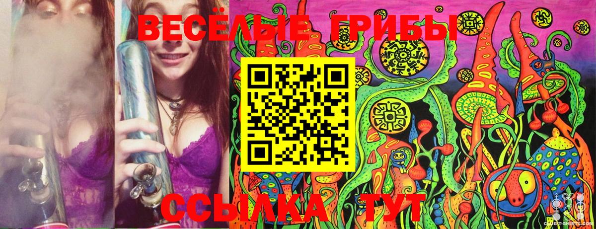 Галлюциногенные грибы Psilocybine cubensis Гусь-Хрустальный