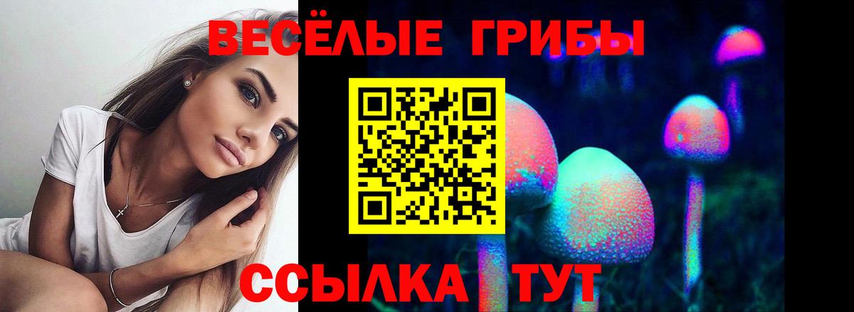 Псилоцибиновые грибы Magic Shrooms  Вход с VPN  Гусь-Хрустальный 